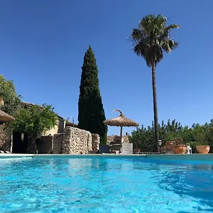 https://hotel-petita-mare.allmallorcahotels.com